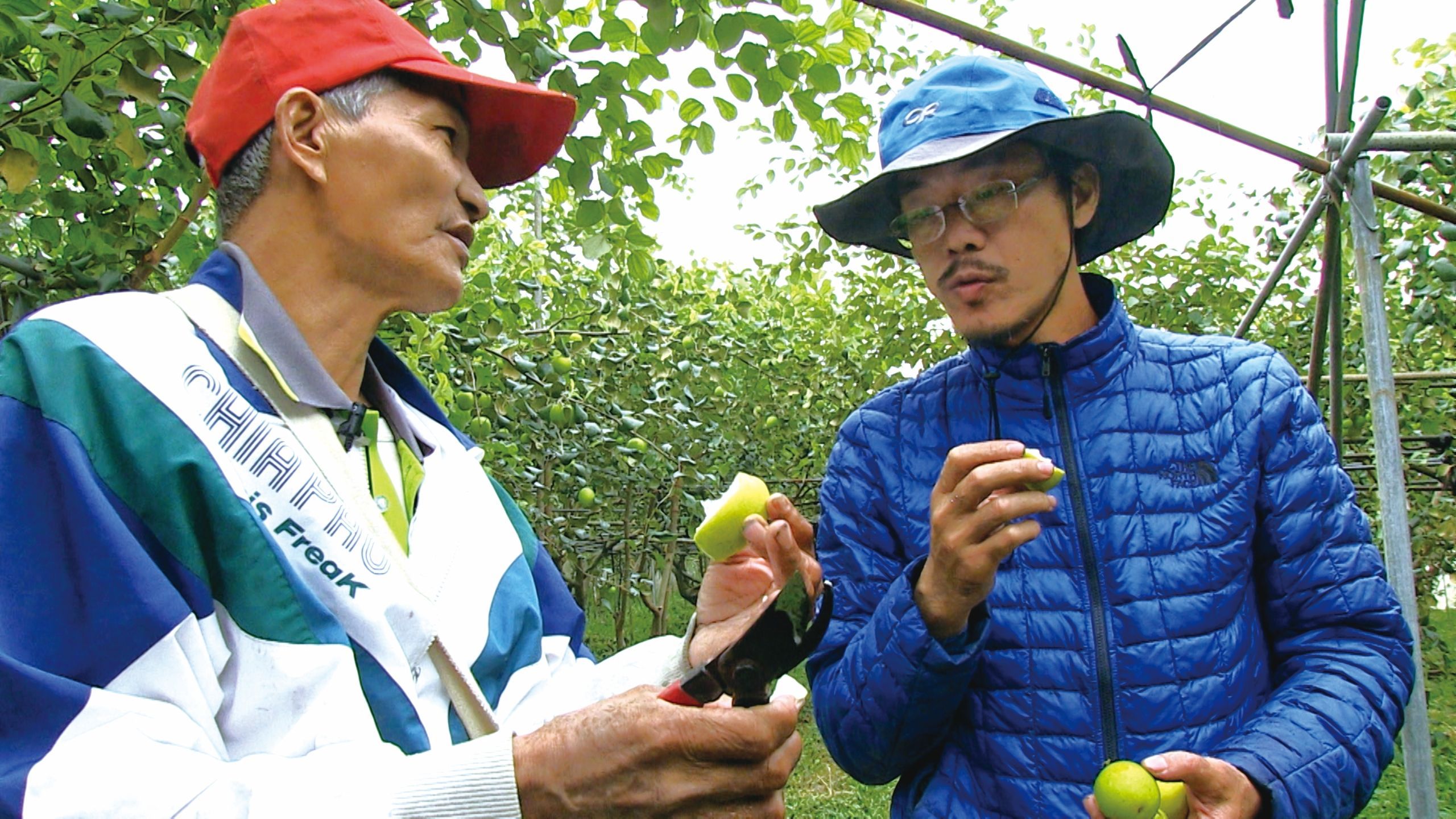 《《種土》中記錄那些對土地充滿熱情的人 (無米樂影像工作室提供)