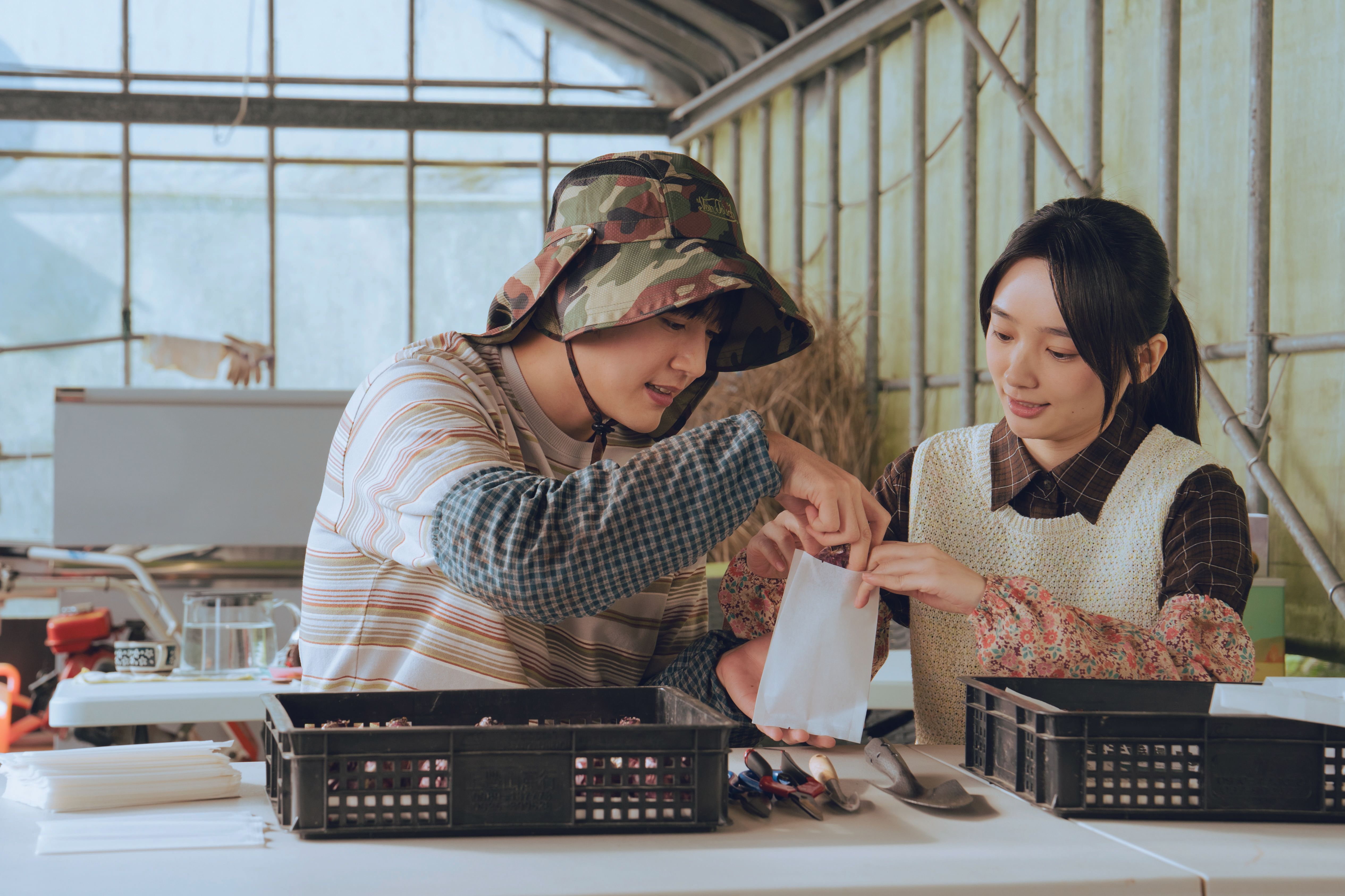 面臨買房和生子壓力的夫妻房客
