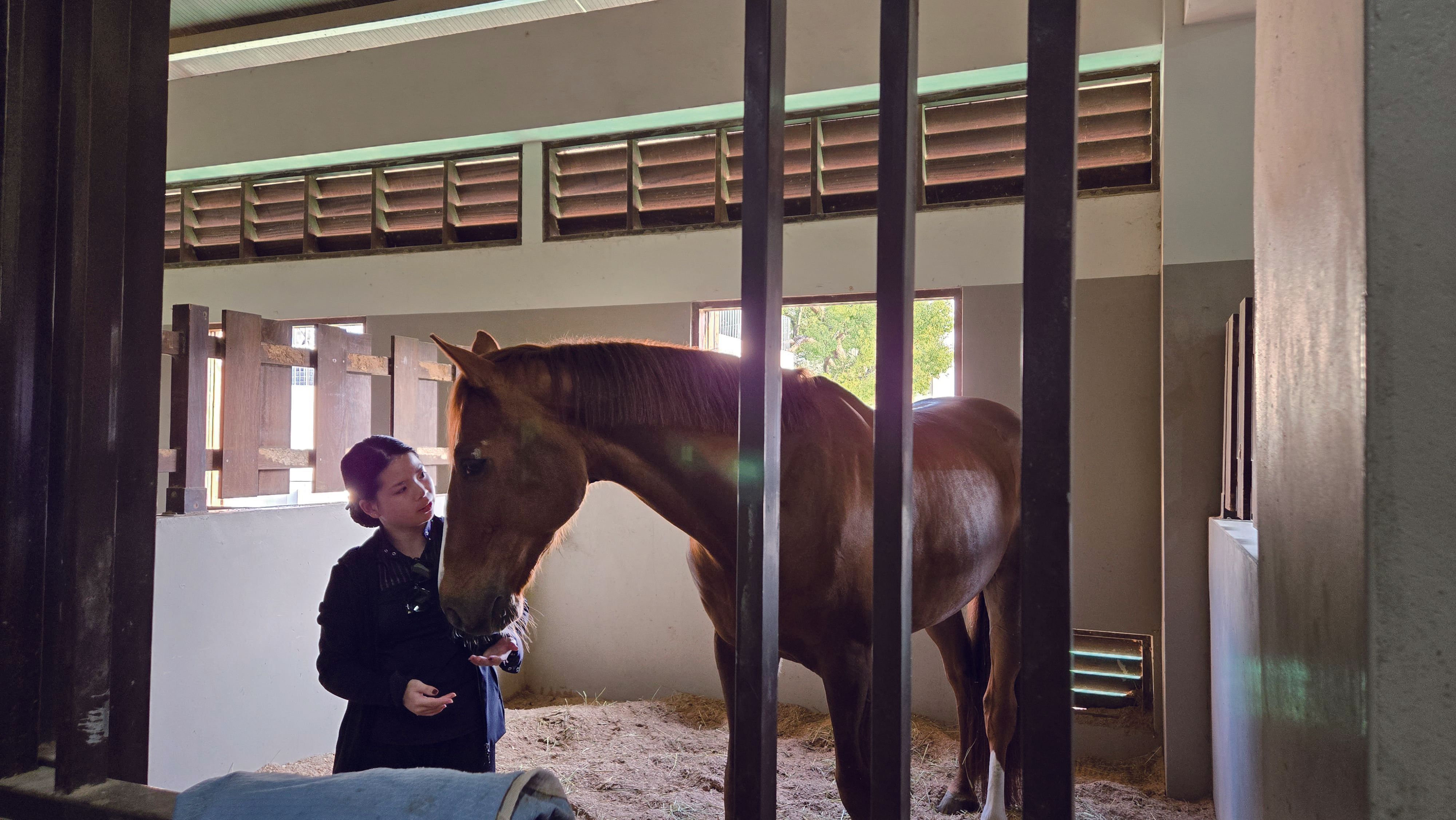在苗栗馬場生活與自學馬術的苓楷