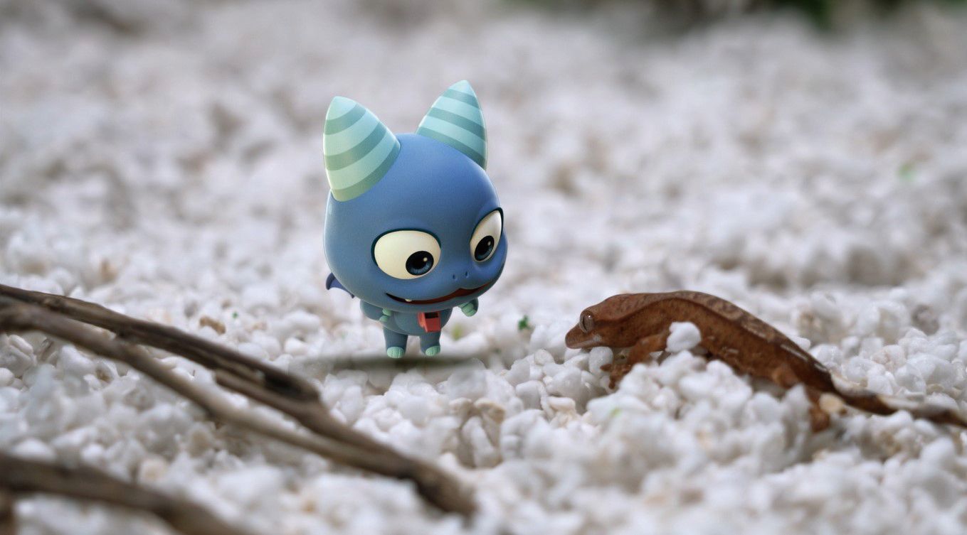 卡卡照顧鳳頭守宮寶寶直到孵化