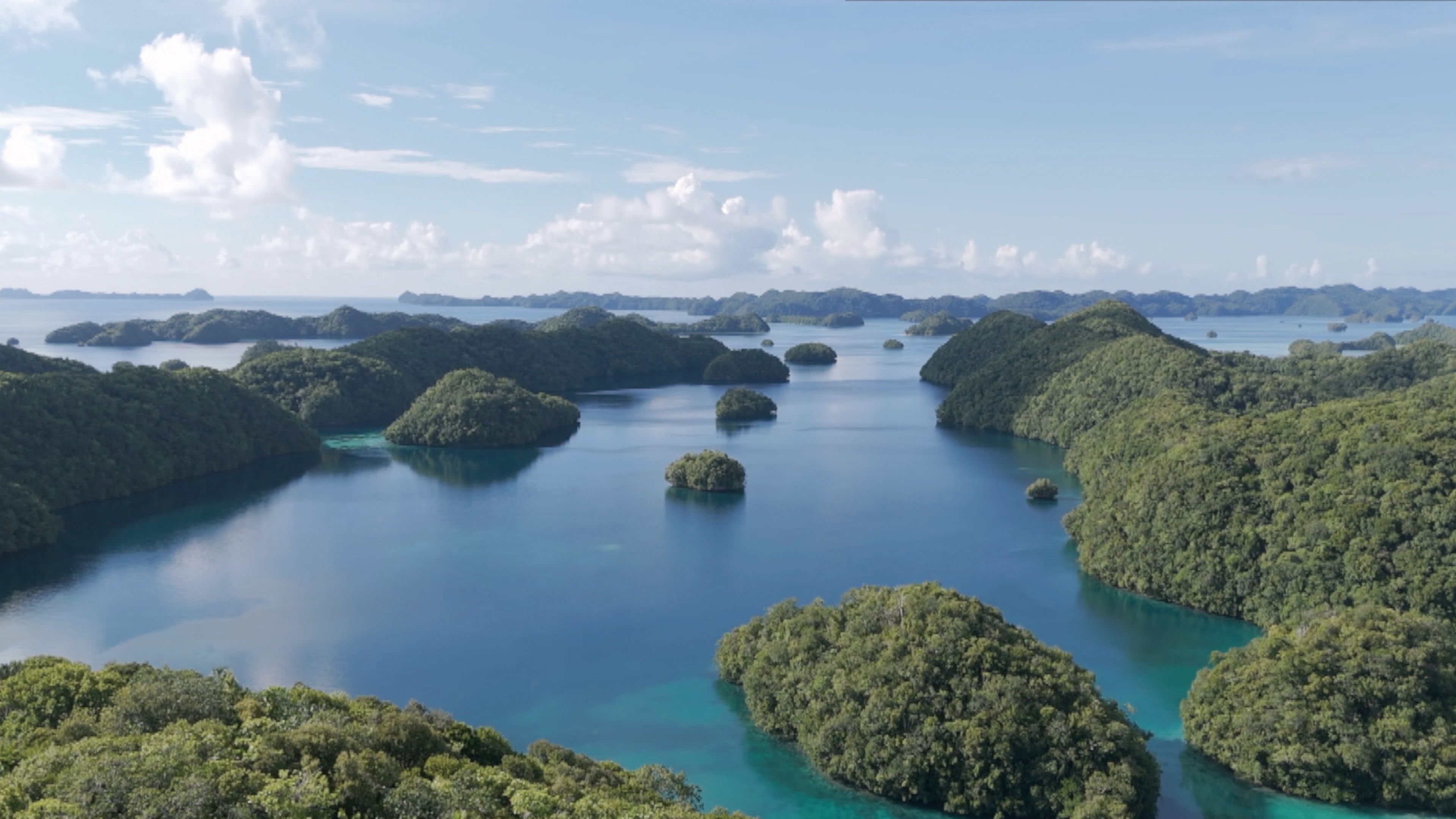 《下課花路米—全球暖化系列》