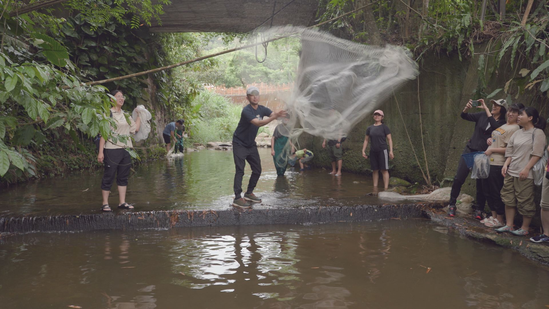 《我們的島》台灣的寶藏森林