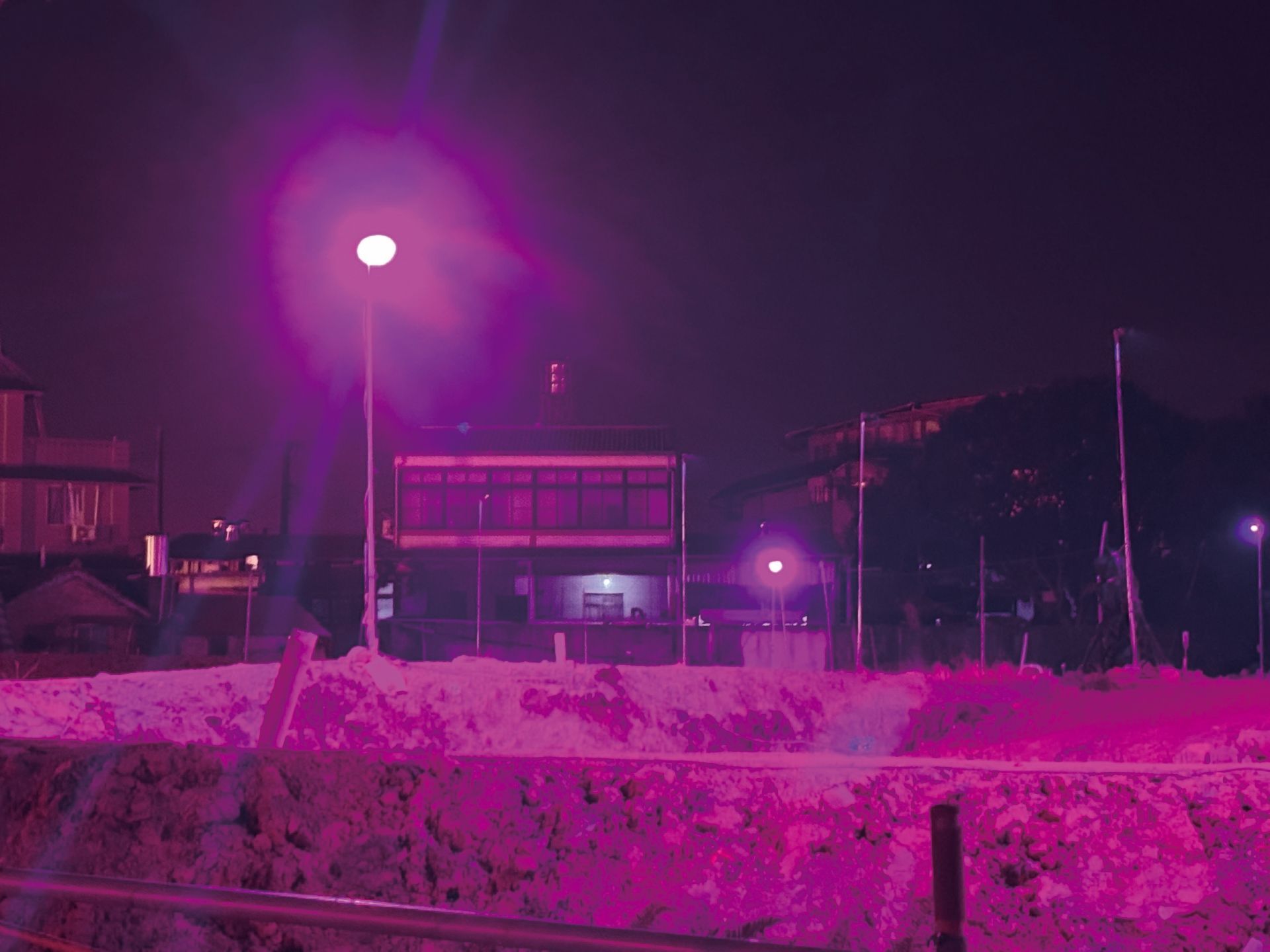 近年在茭白筍田採用 LED 節能燈的試驗