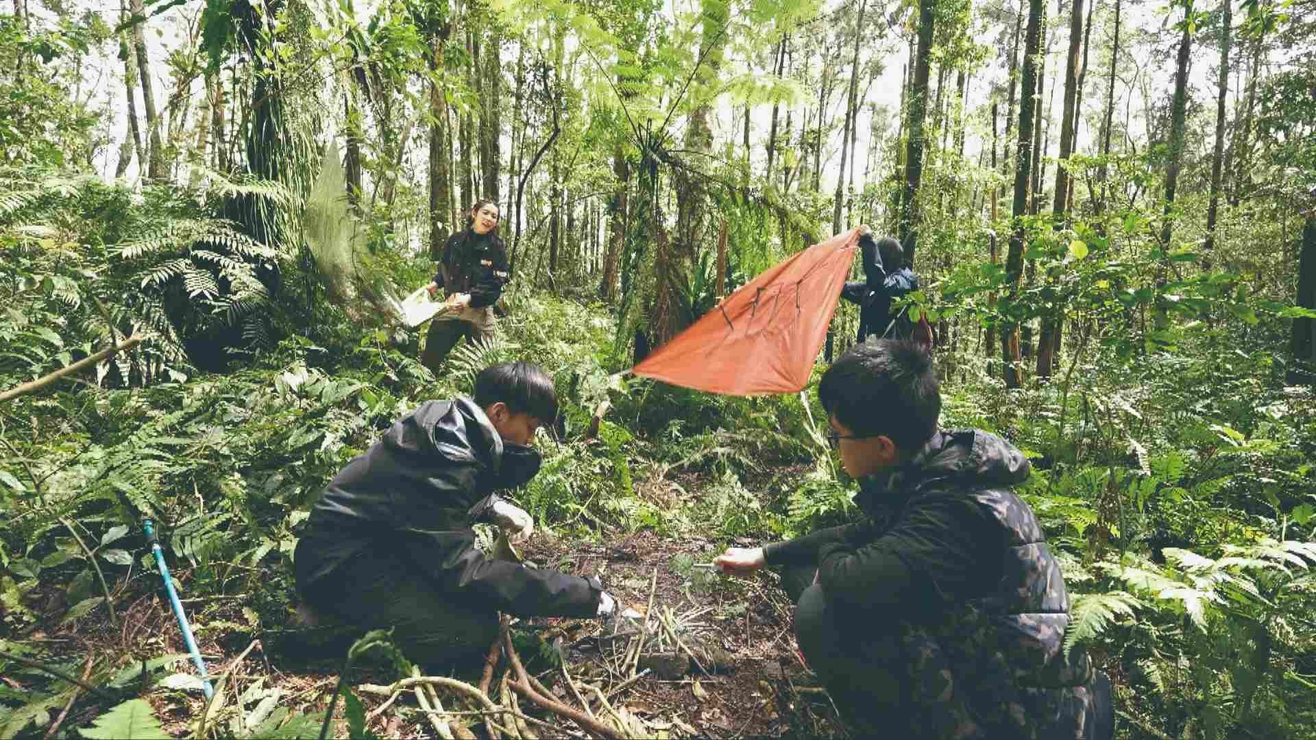 哪招才能成功吸引空拍機的注意?
