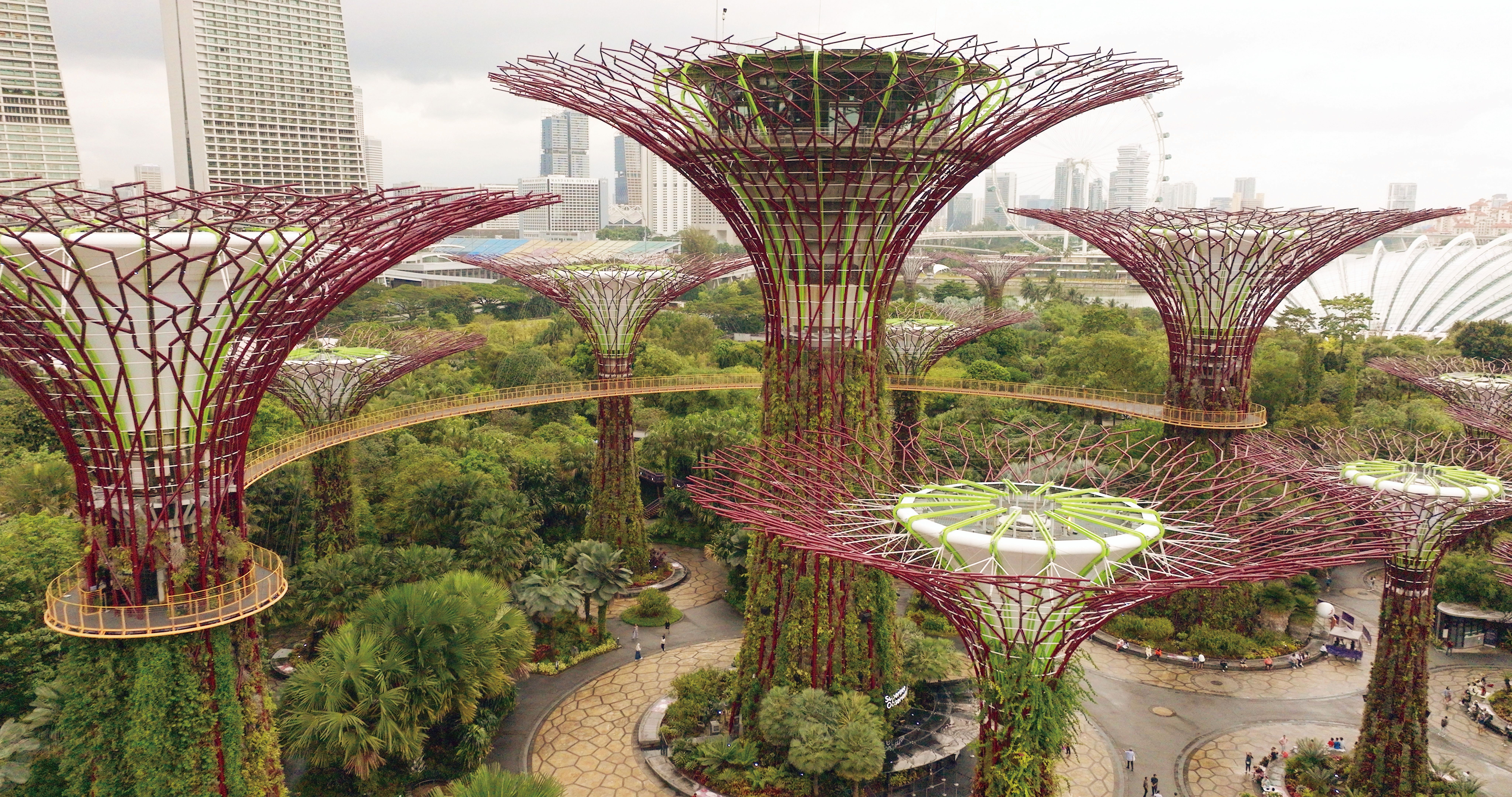 新加坡濱海灣超級樹