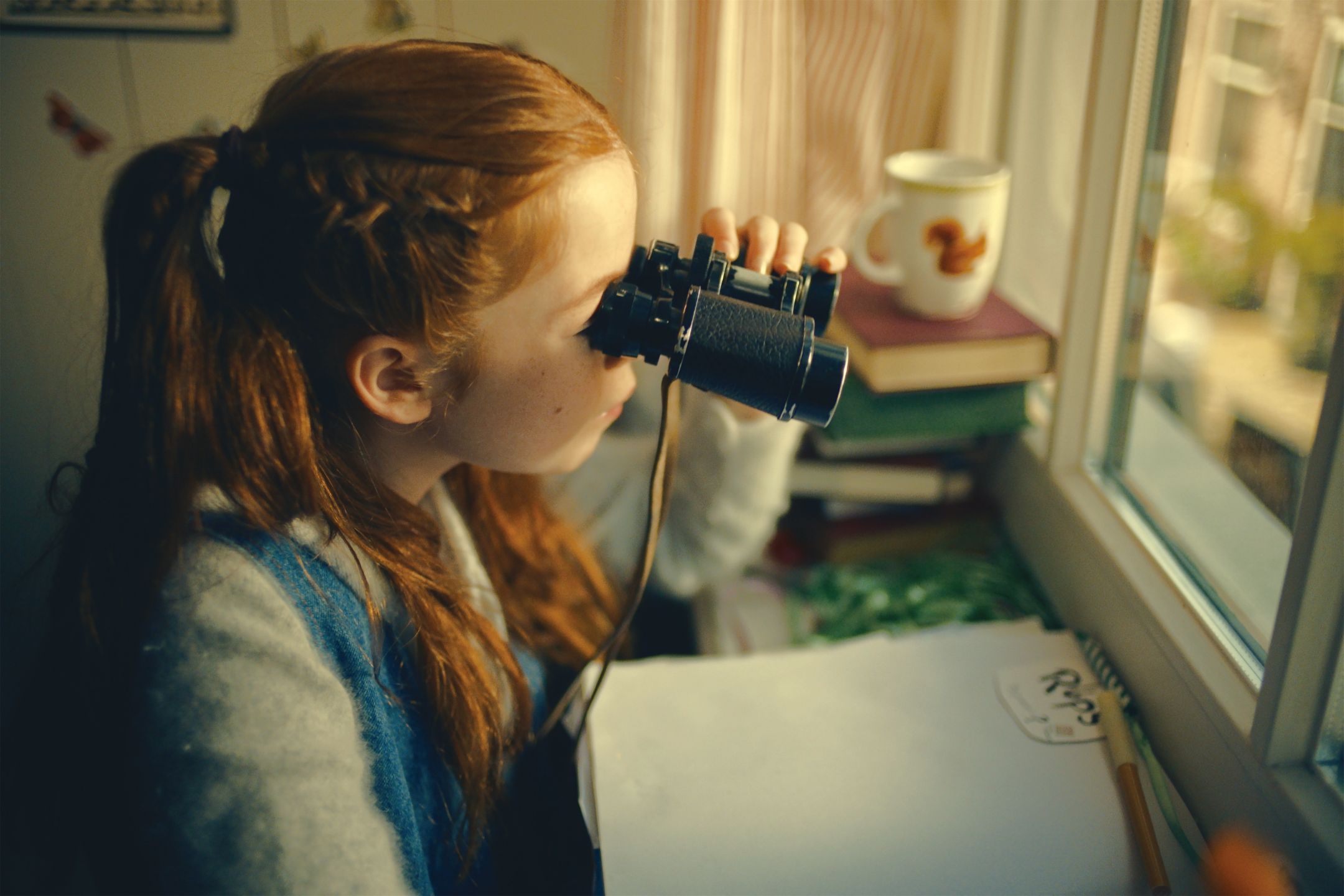 《小波的朋友圖鑑》