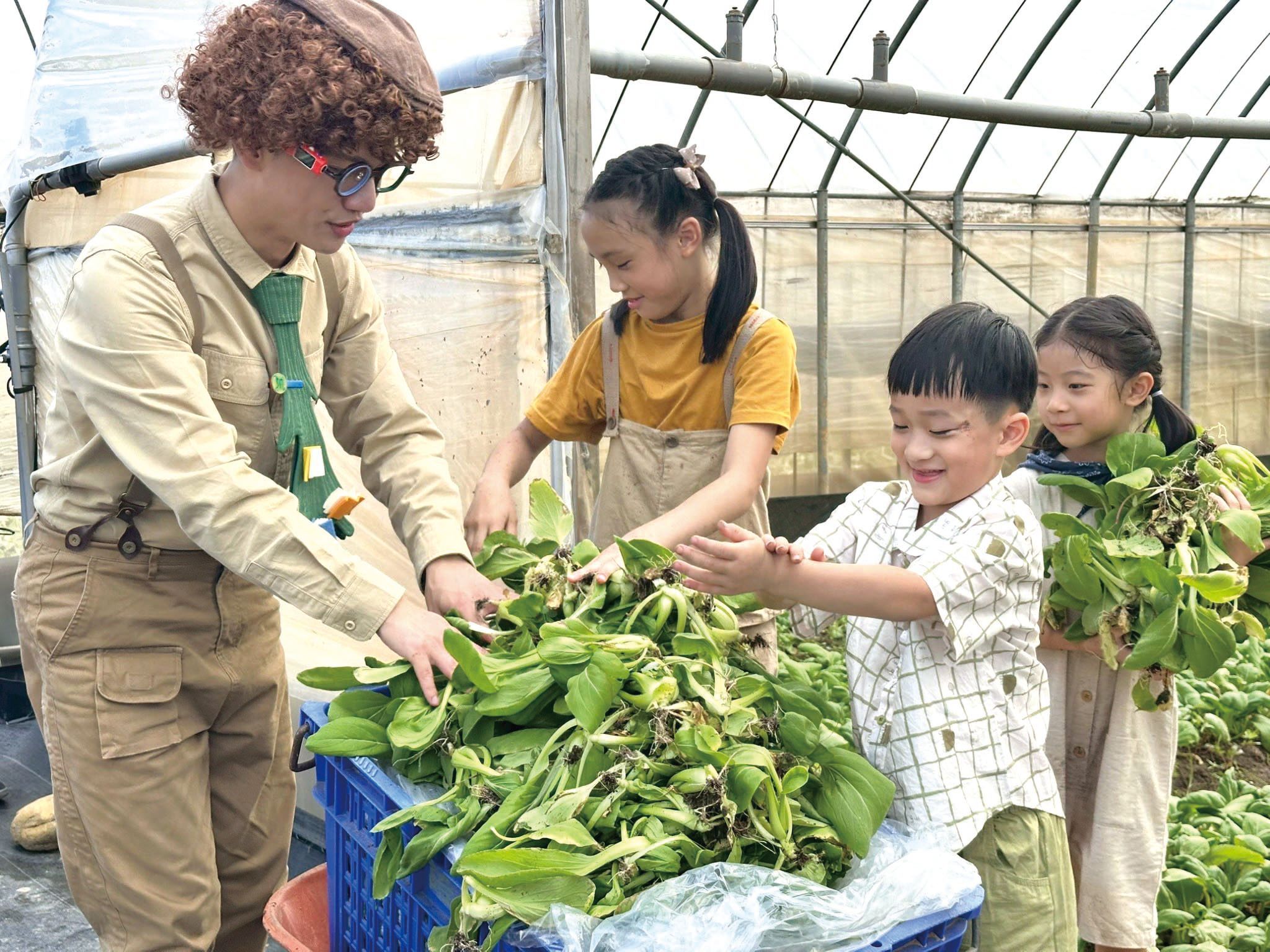 有機農場進行小小農夫體驗