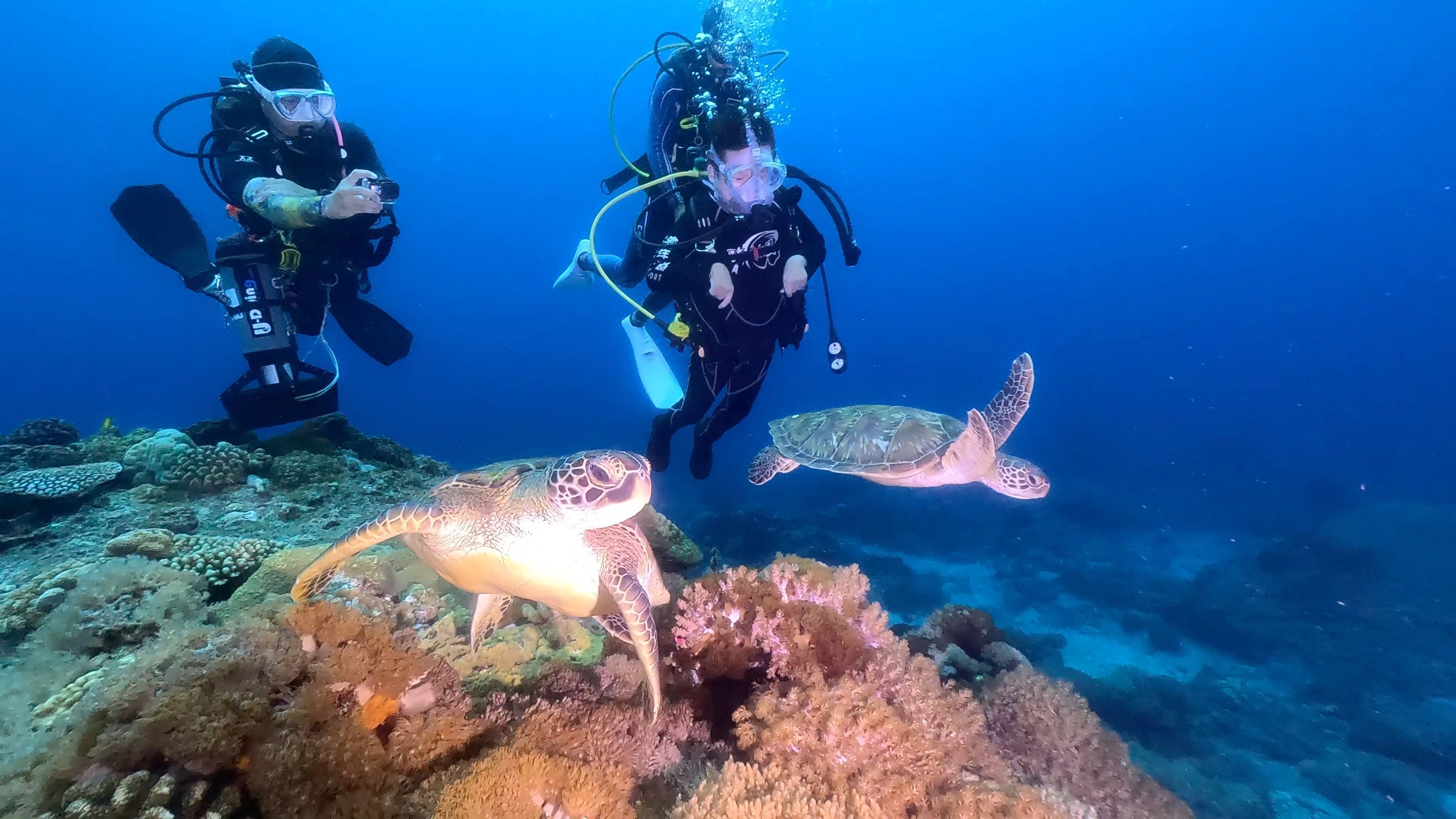 《極樂世界之好好出門》