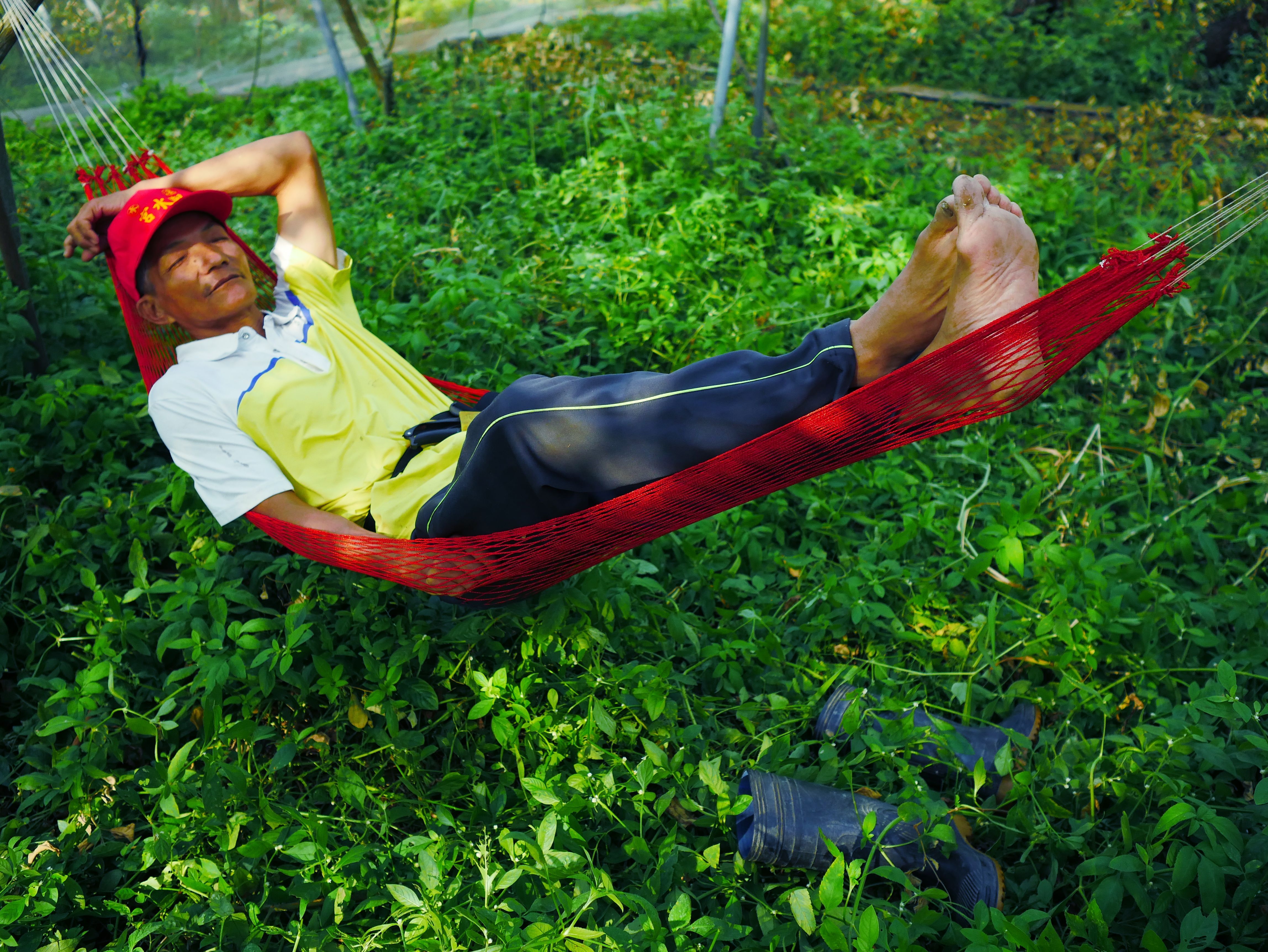 安和兄「無為而治」的自然農法