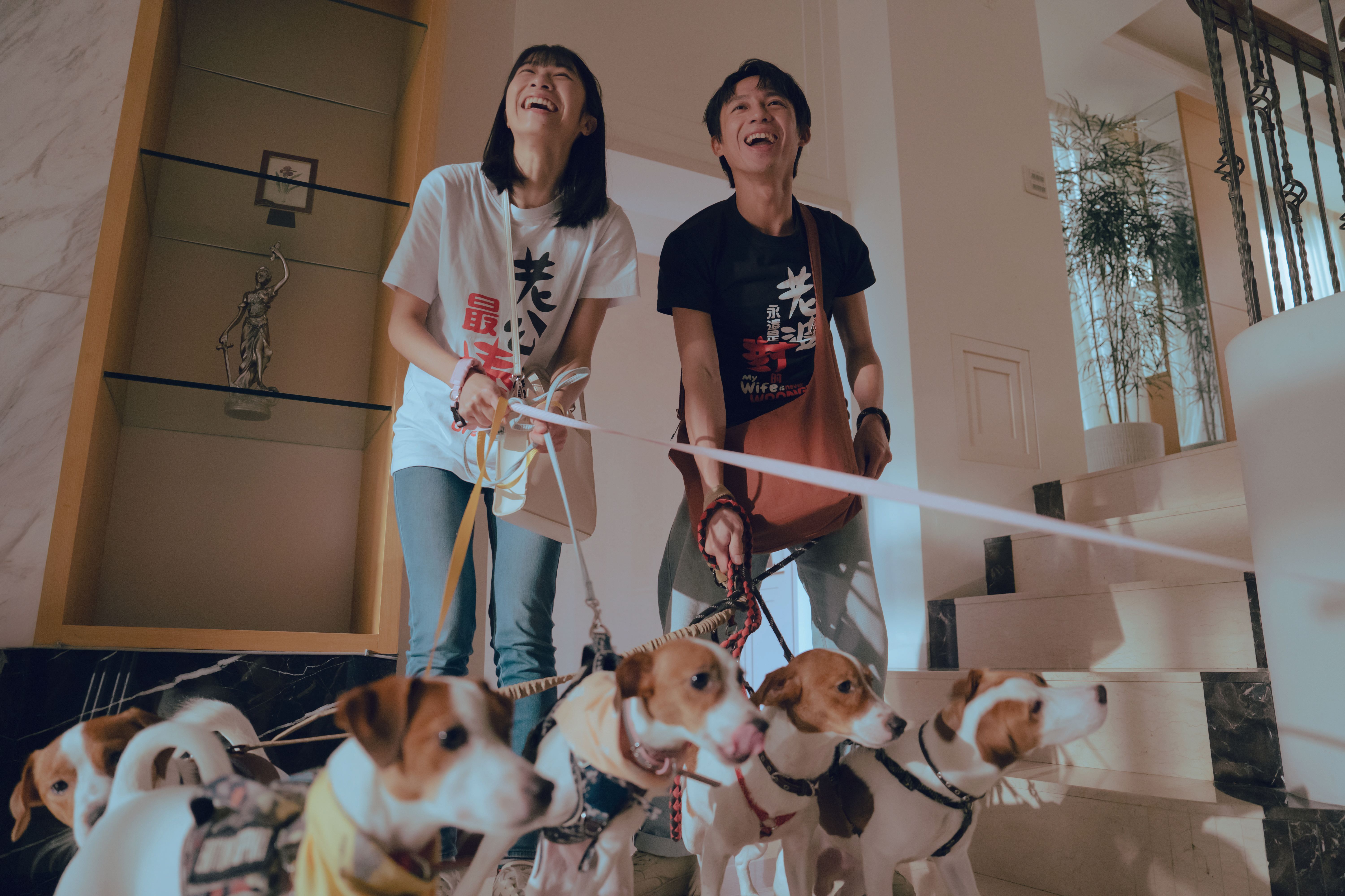 養了許多狗的看屋租客