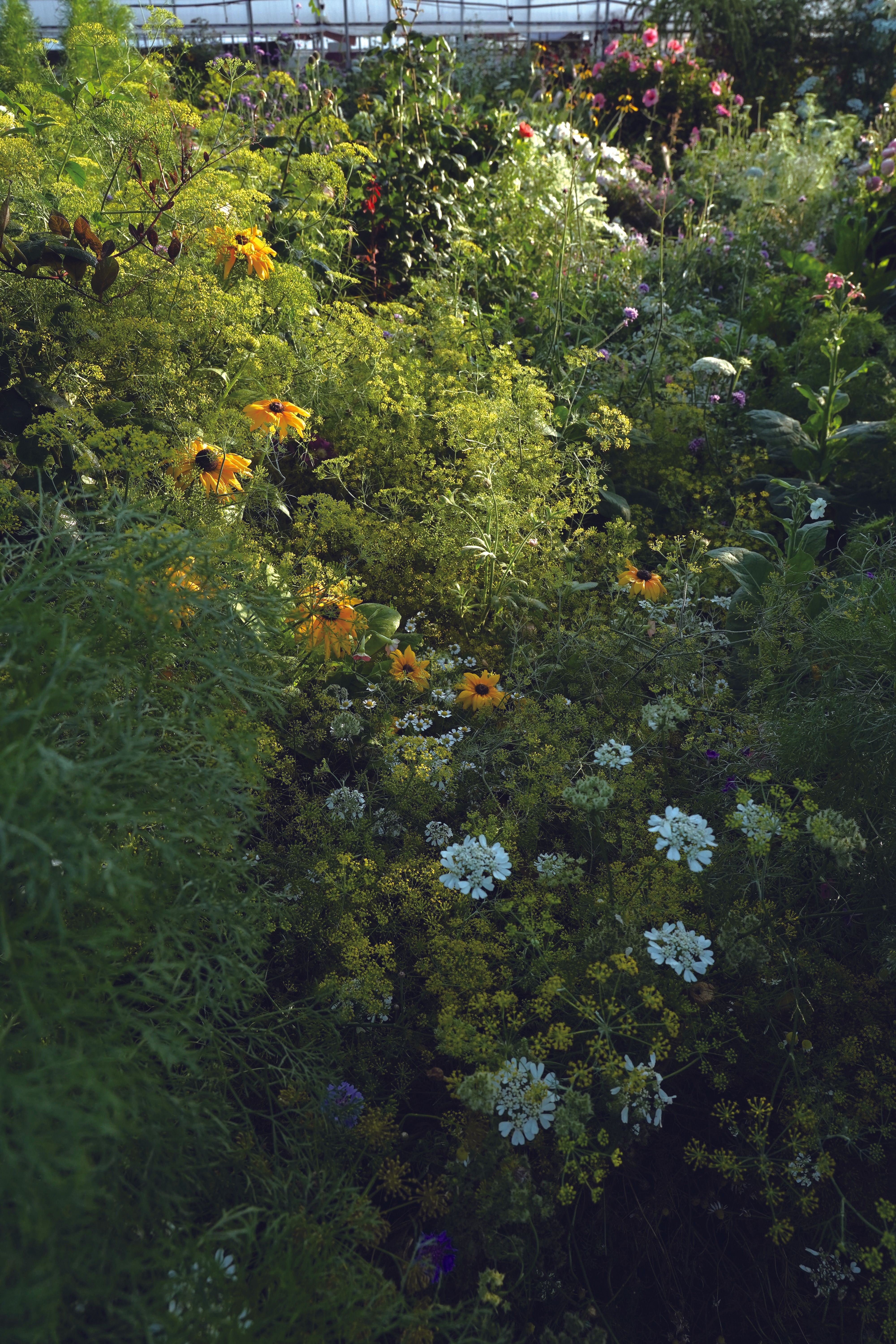 《藝術很有事》第七季