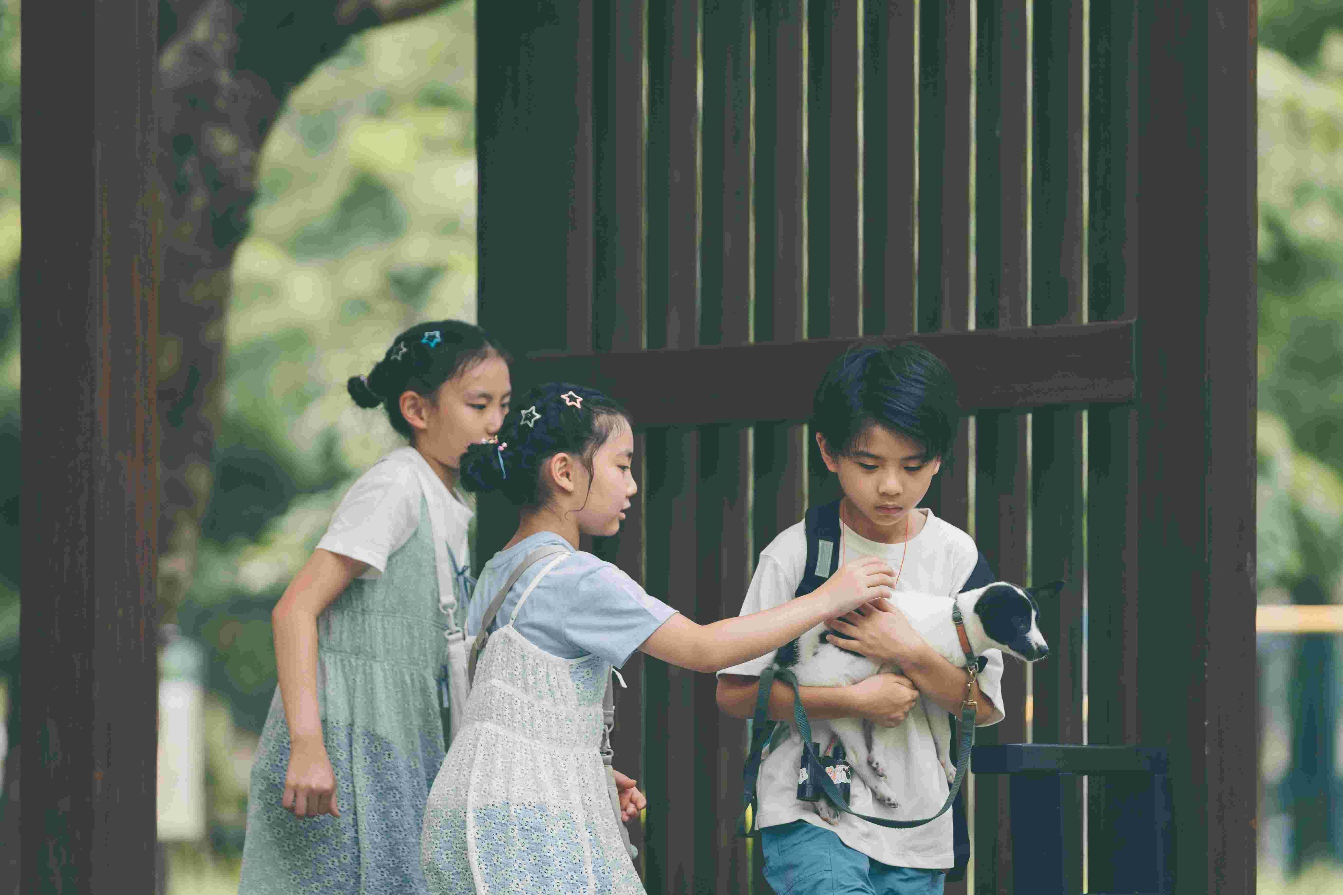 《楊桃》