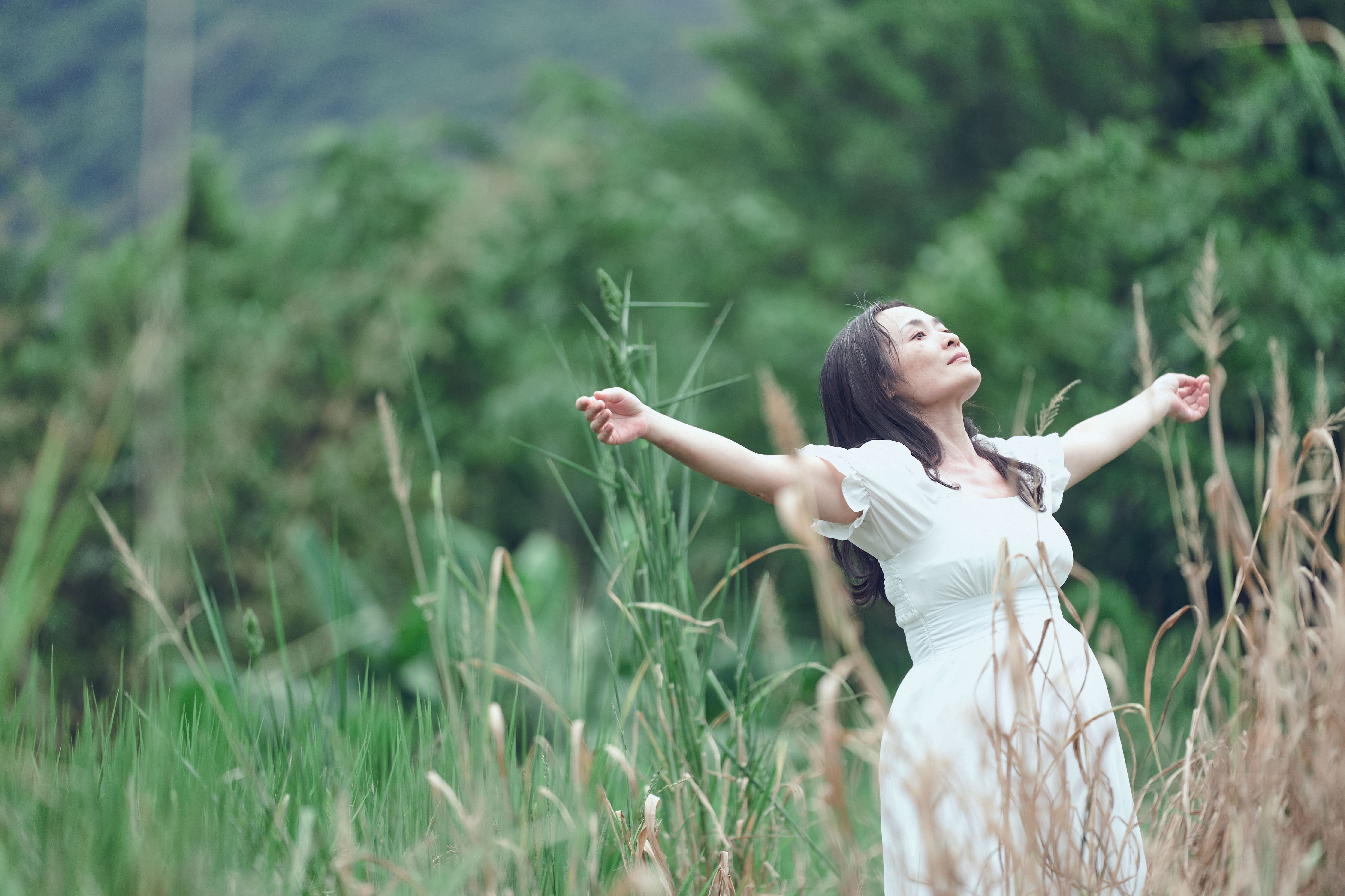 客家電影院金獎系列