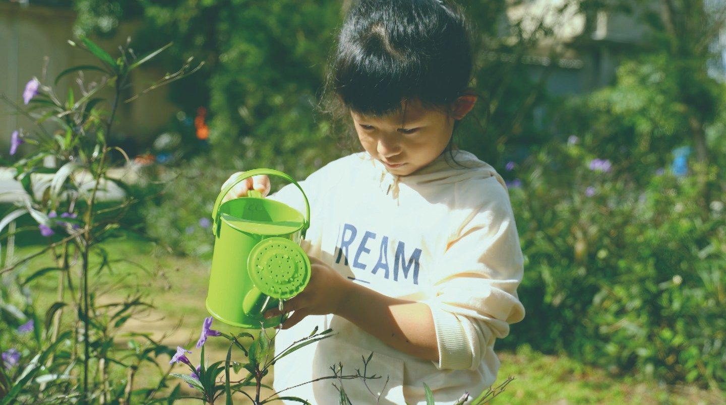 天氣熱,小花小草慢慢喝水喔!