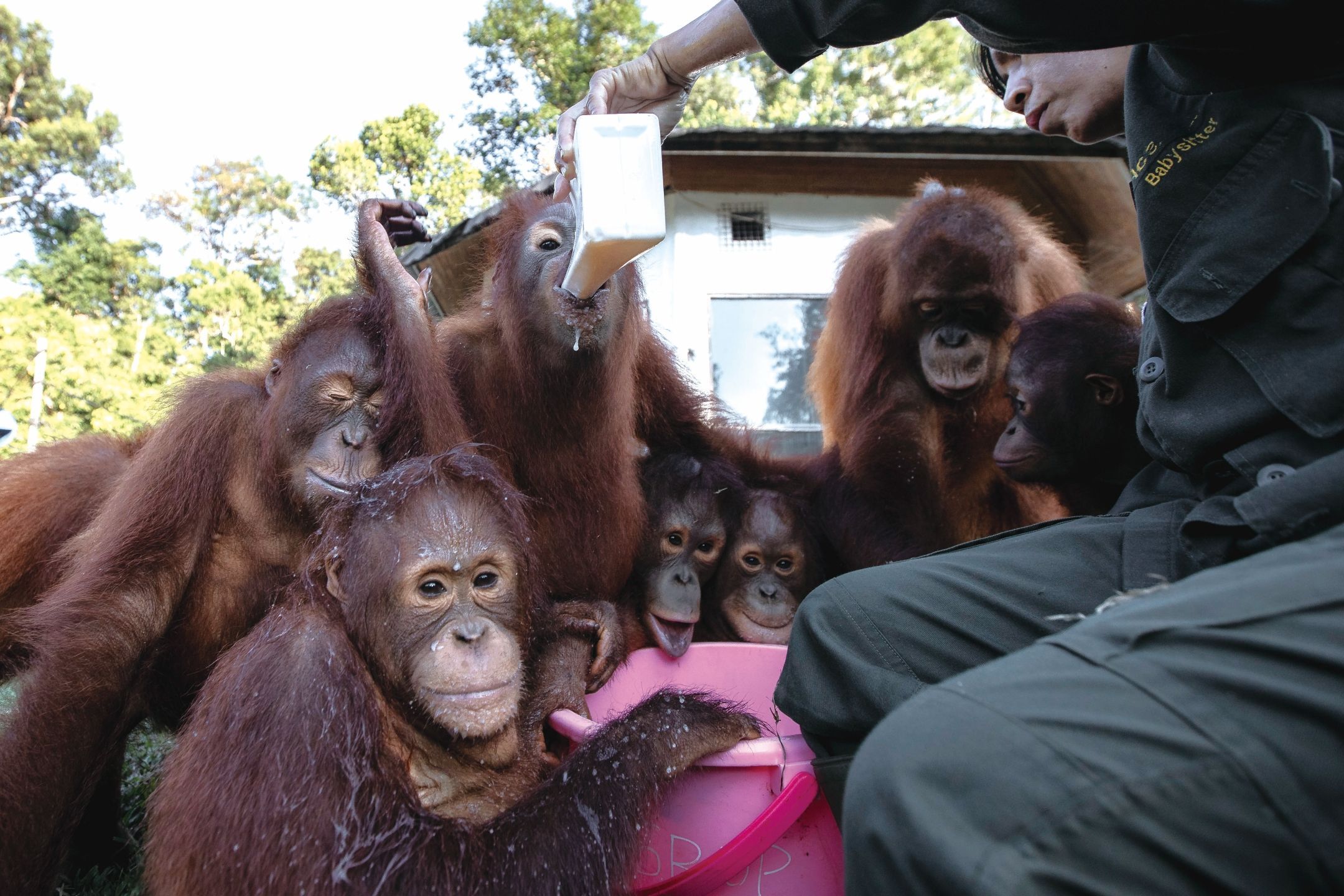自然萬物充滿驚奇