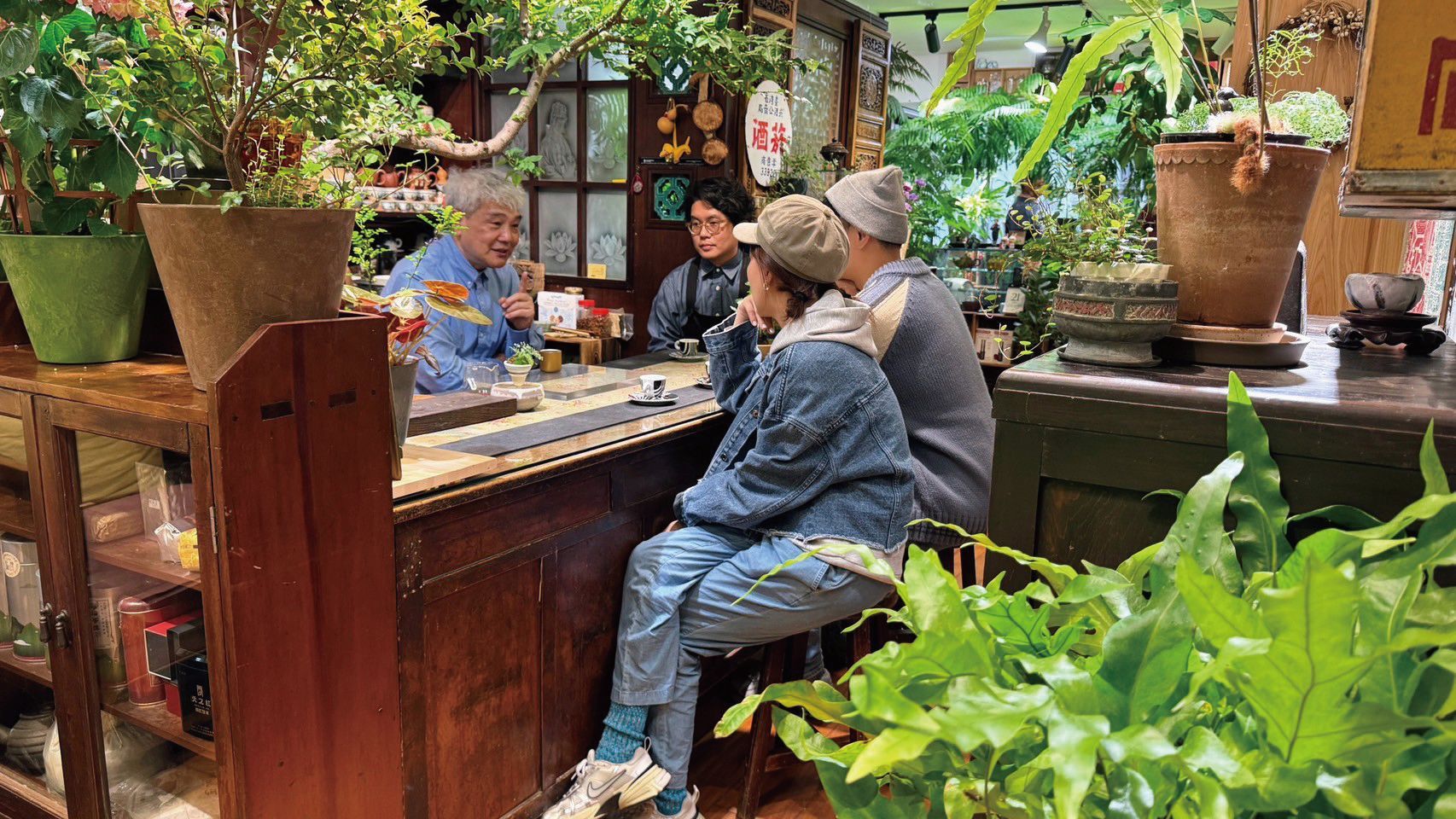 被綠植包圍的住宅美不勝收