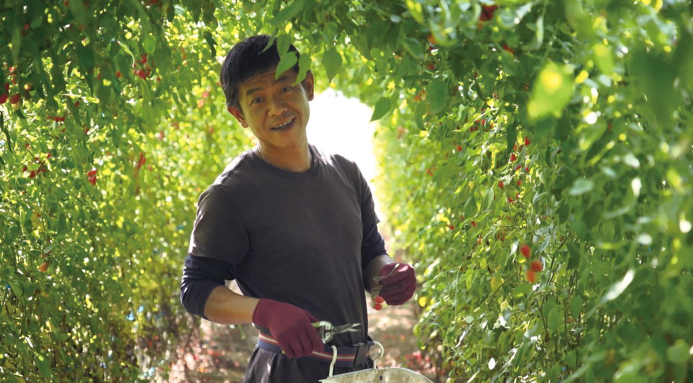 兄弟仔之間的感情天生自然,免靠感應