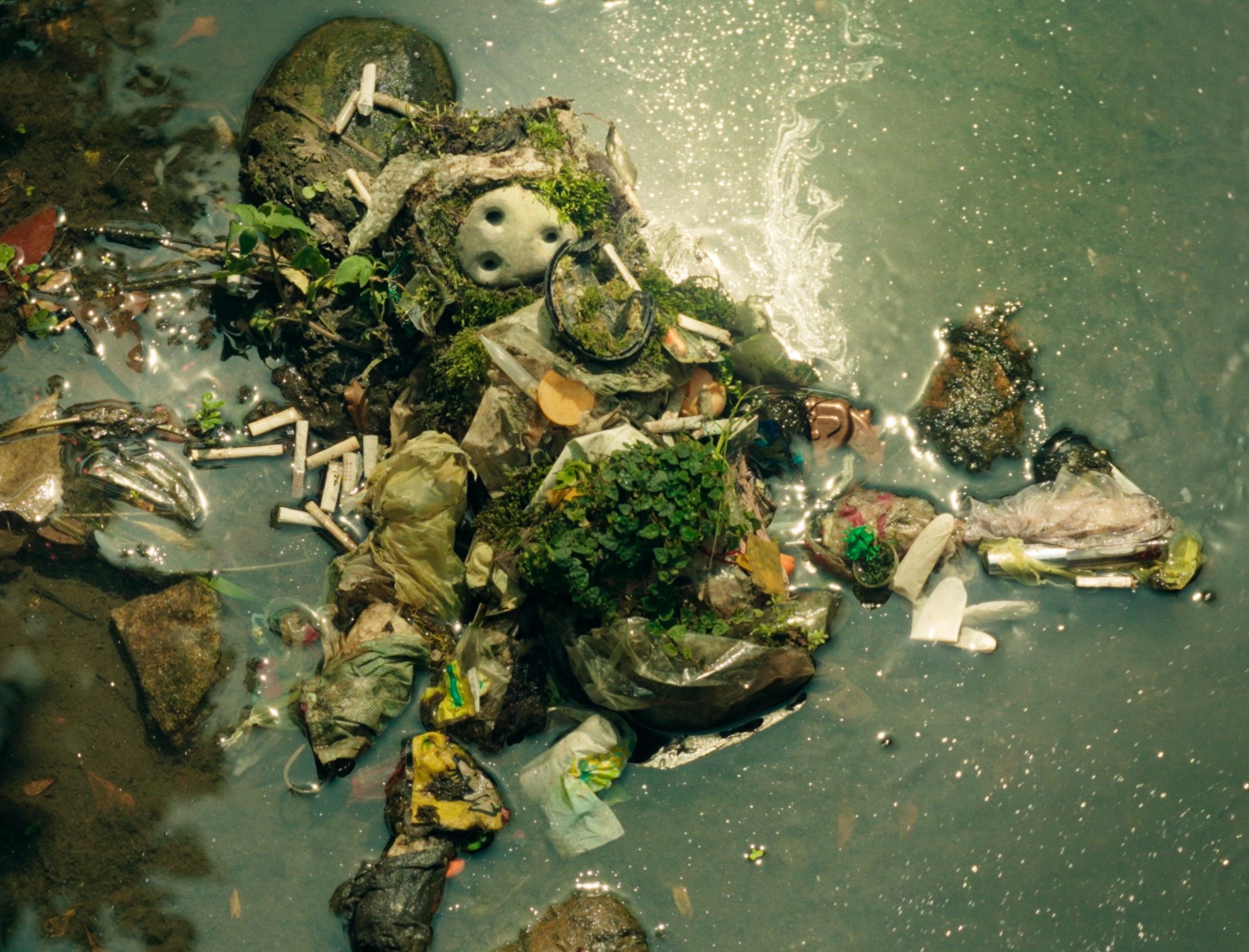 公視X雄影《南國幻夢》短片輯