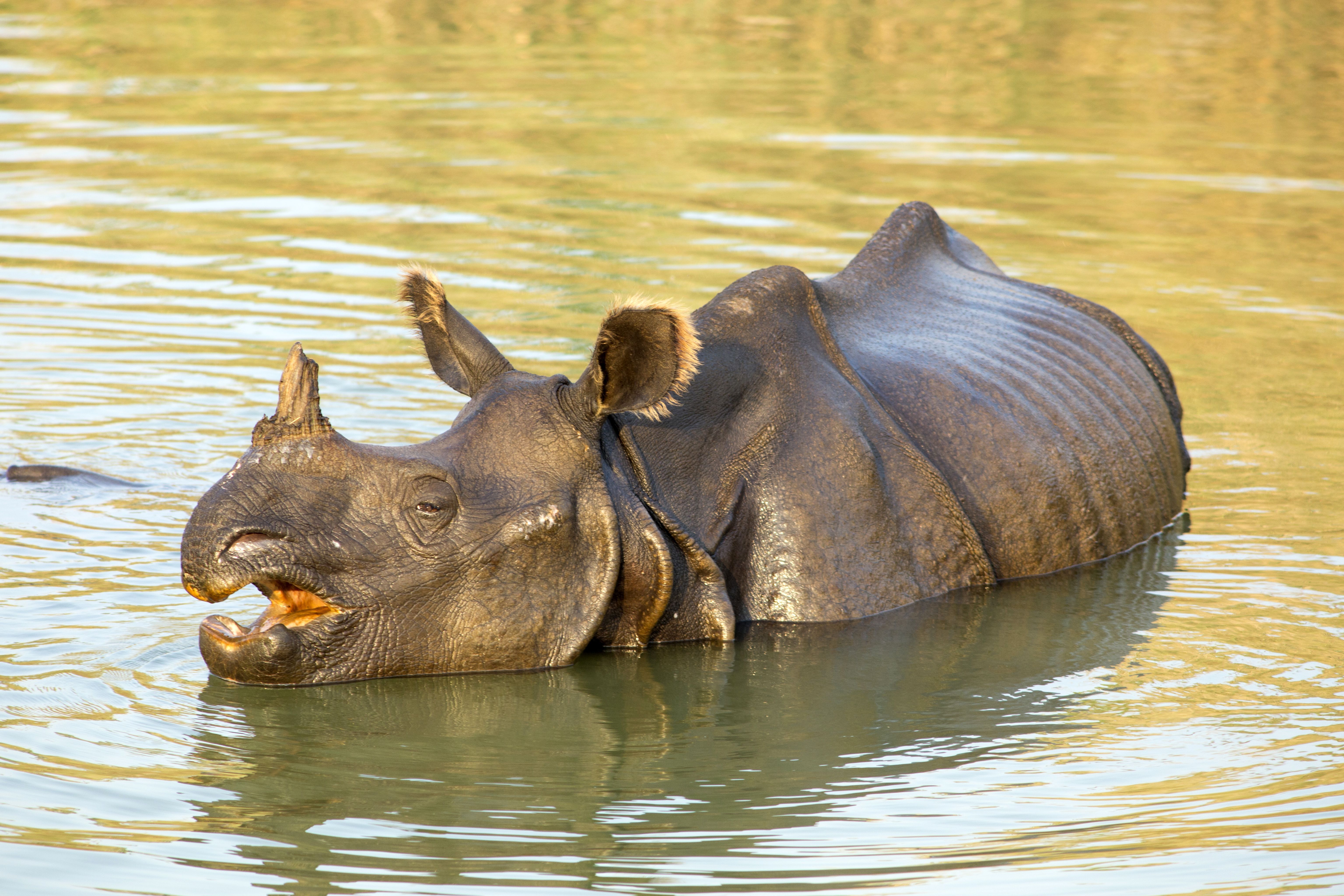 《生態全紀錄》見證地球生態奇蹟