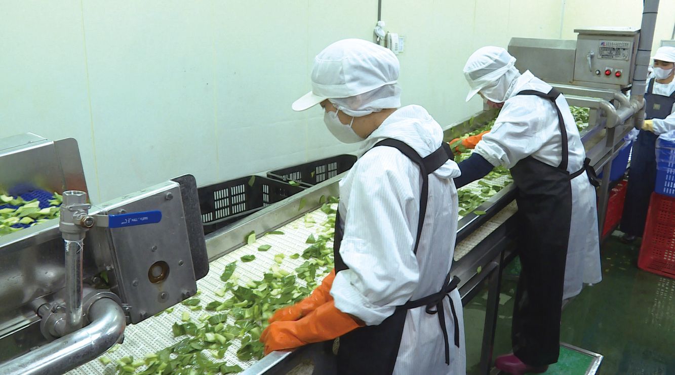 《獨立特派員》營養午餐正義