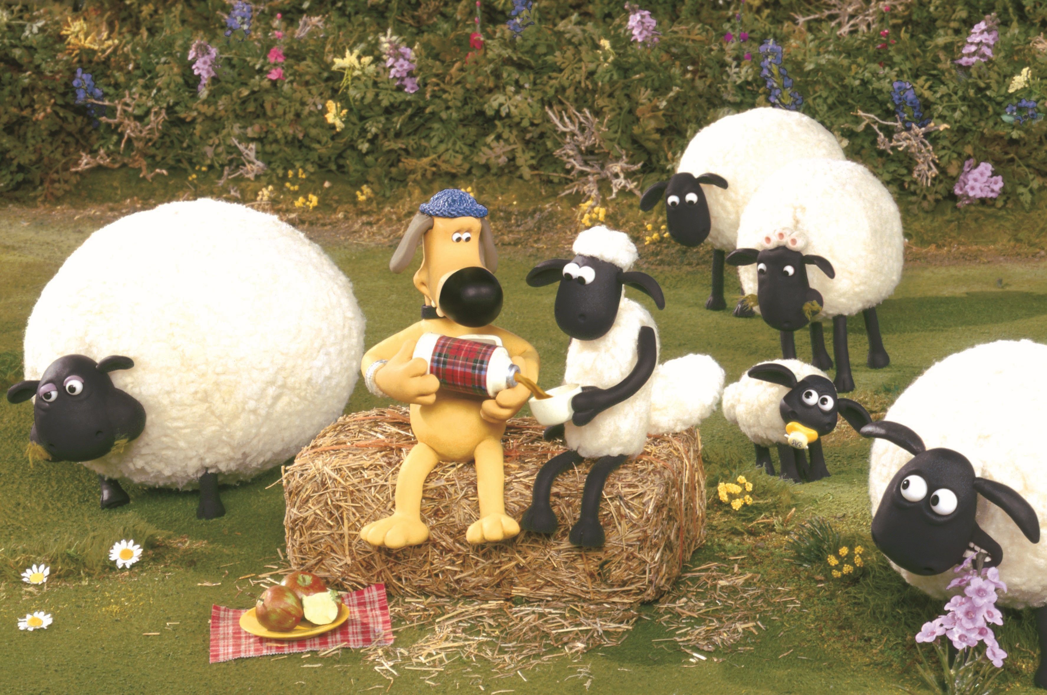 描述管家狗與黑臉羊們的趣味生活