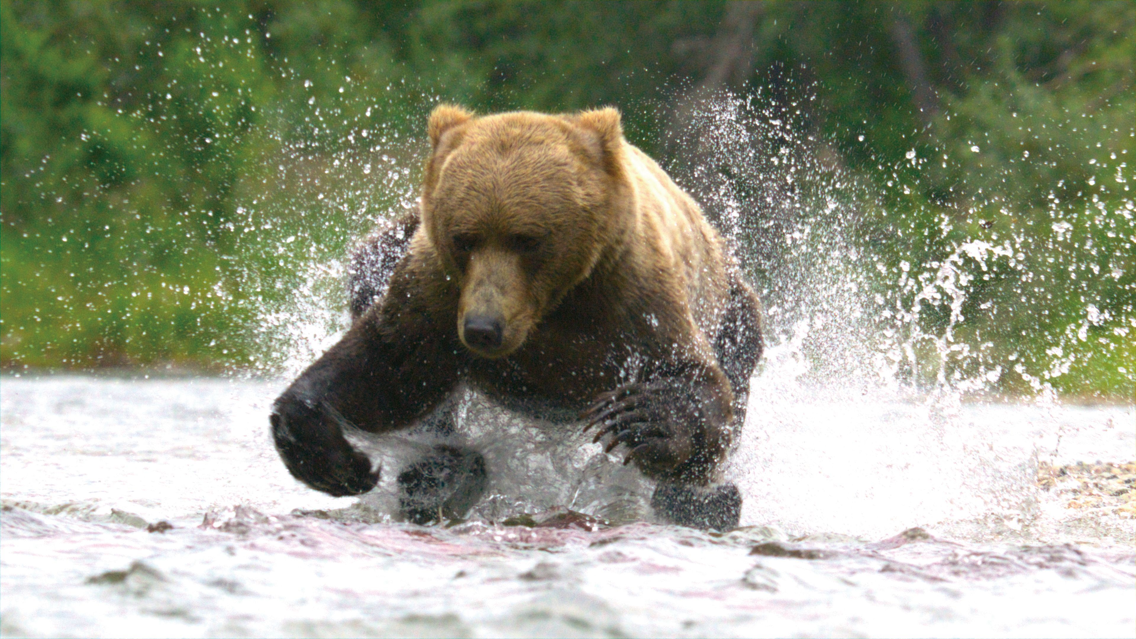 《希望星球》思考地球的未來