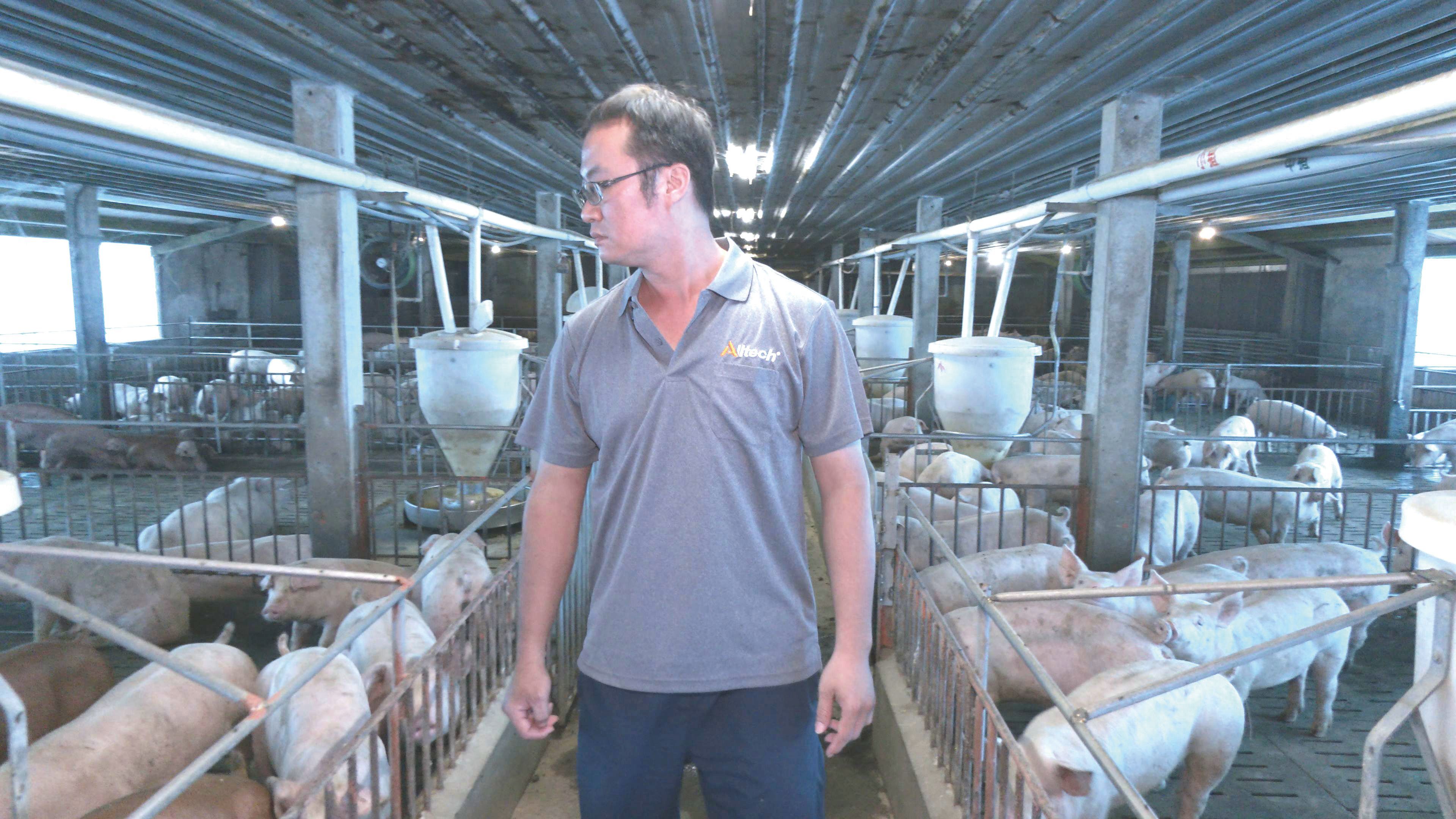 環境部修法推動畜牧糞尿資源化,要求畜牧場資源化程度達到規定比例