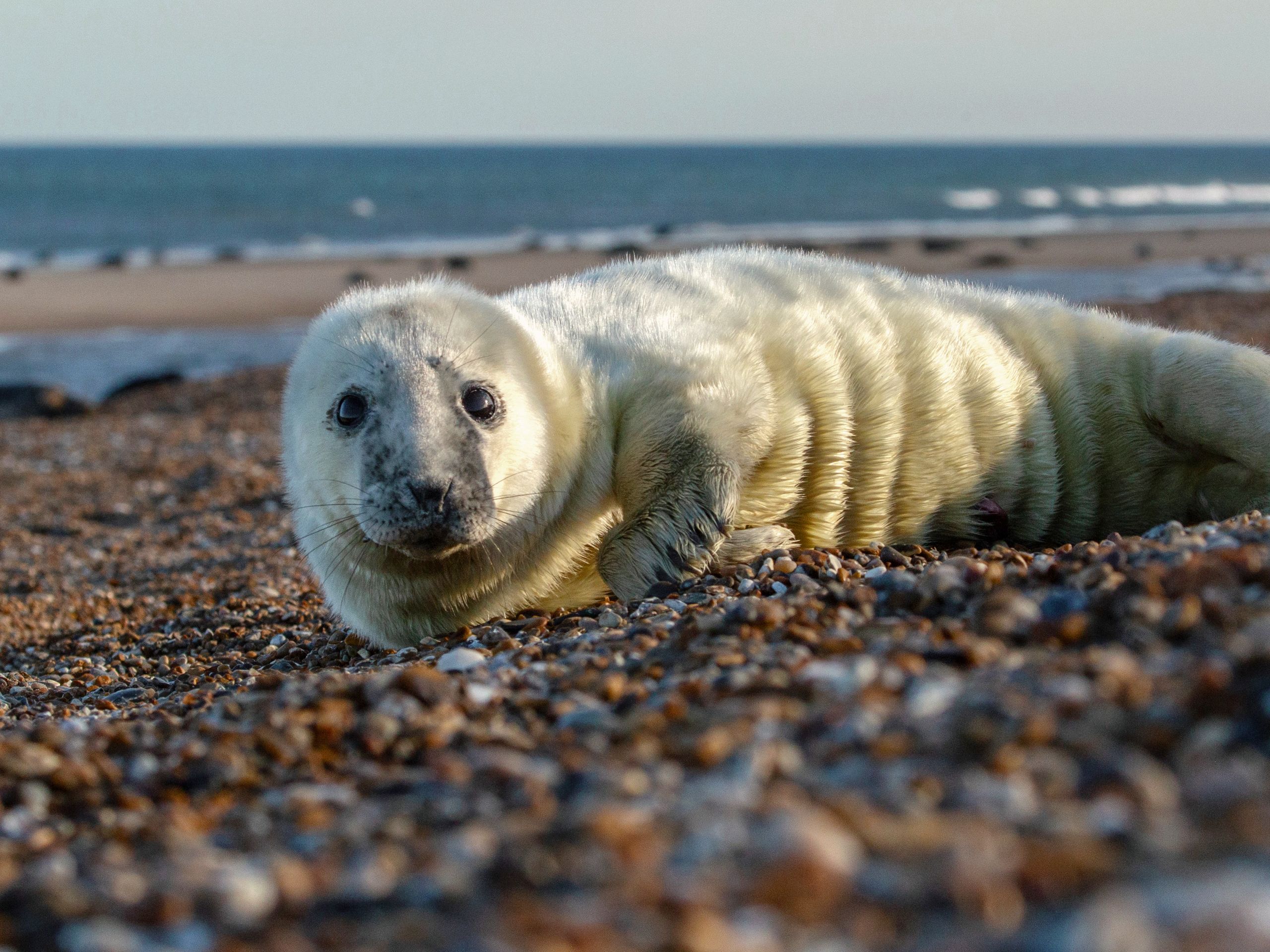 《英倫列島》珍貴奇景大公開