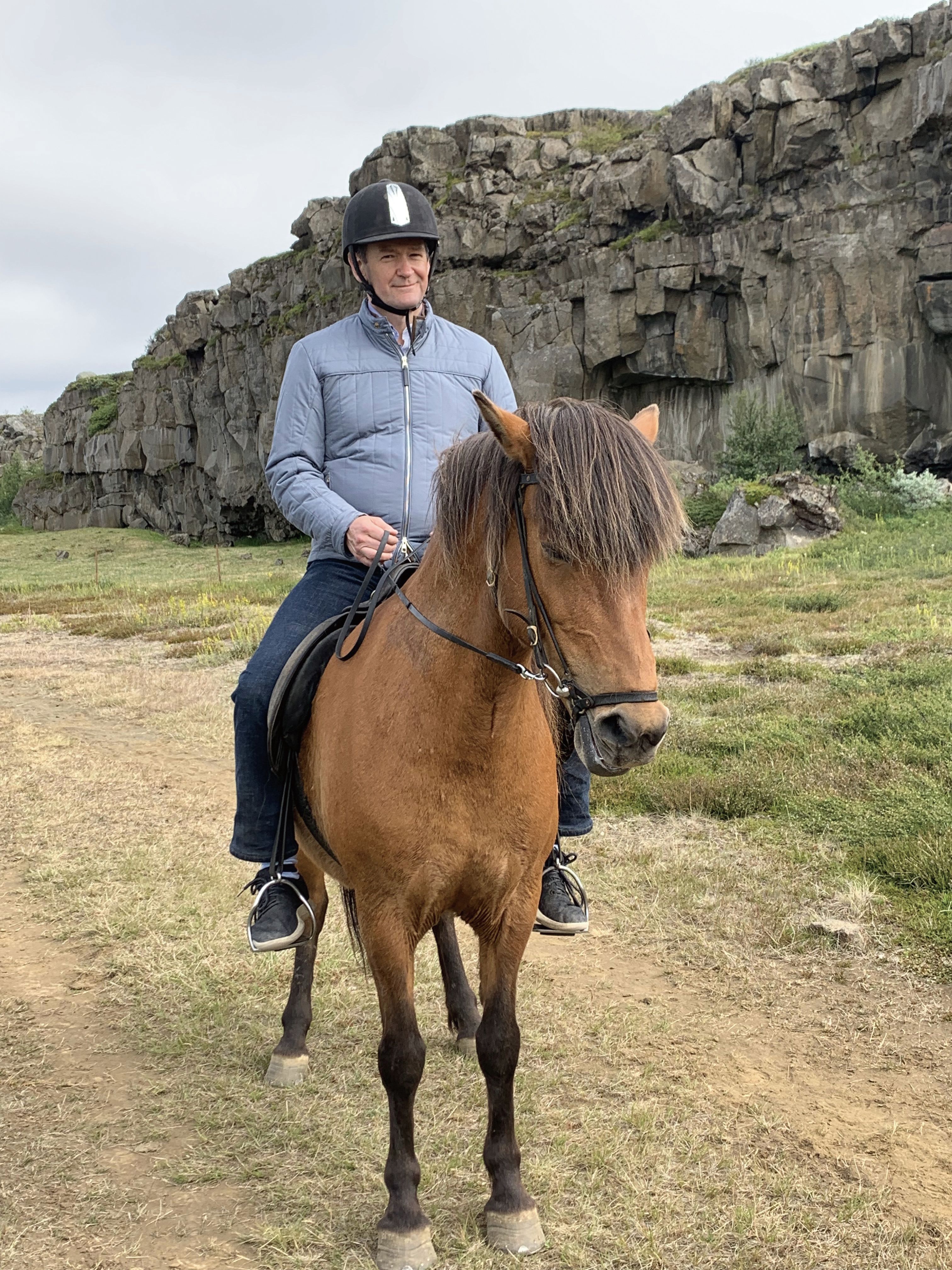 《亞歷山大的冰島大冒險》